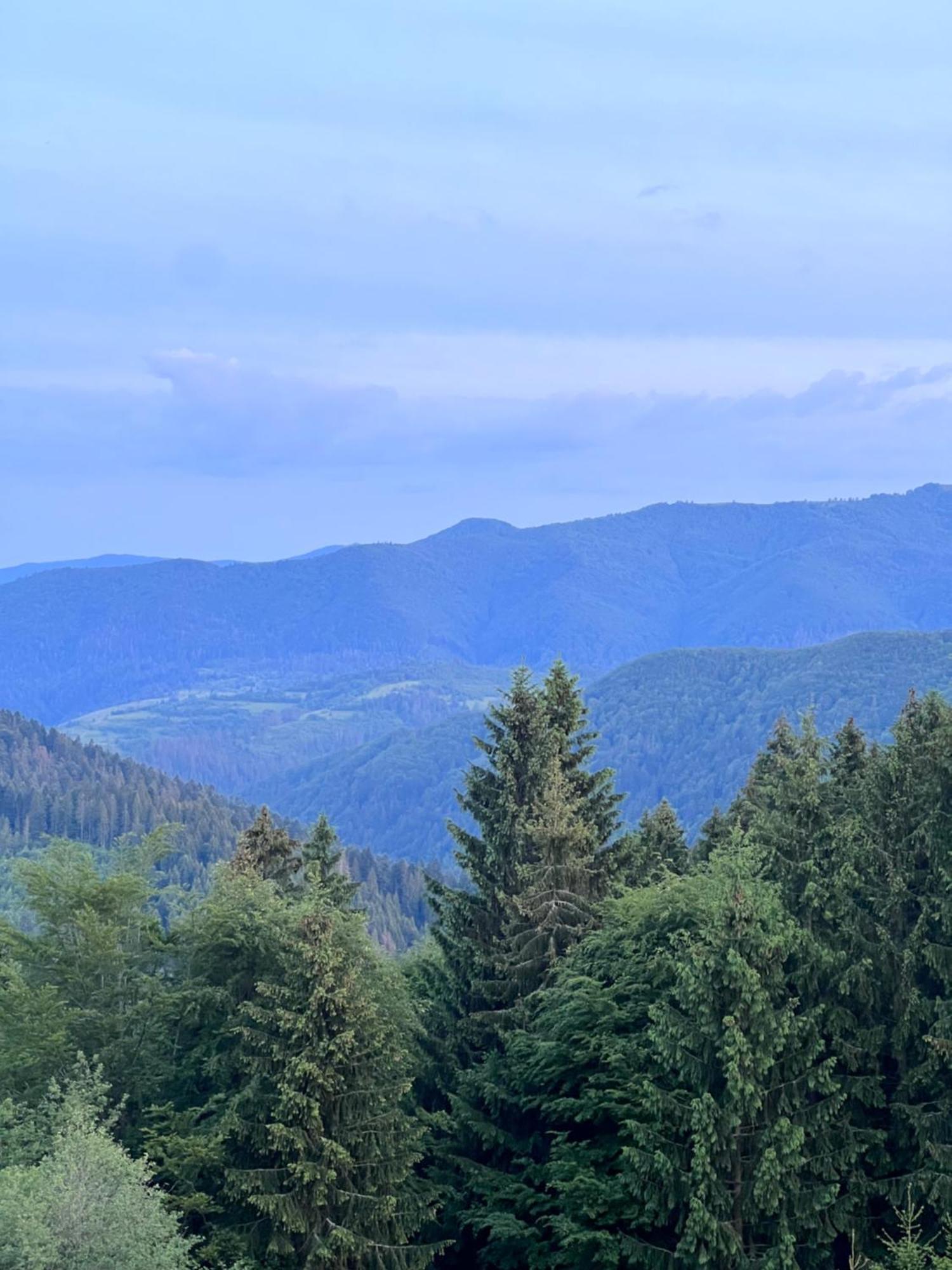 Садиба Between Mountains Mizhhirya  Екстериор снимка